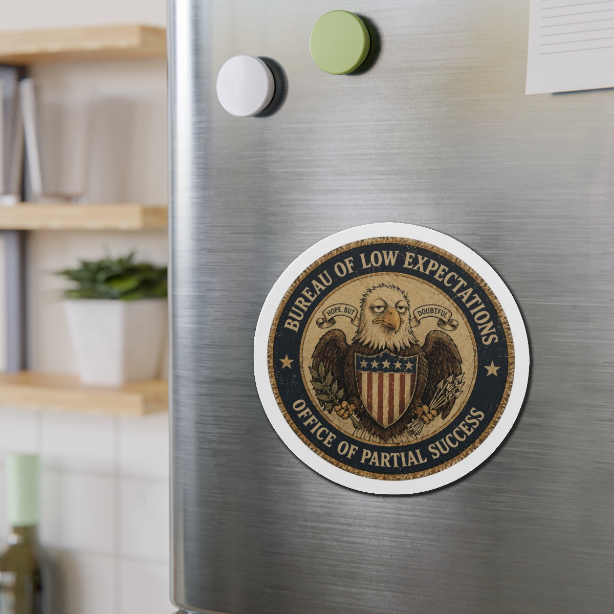 Bureau of Low Expectations Magnet | Office of Partial Success