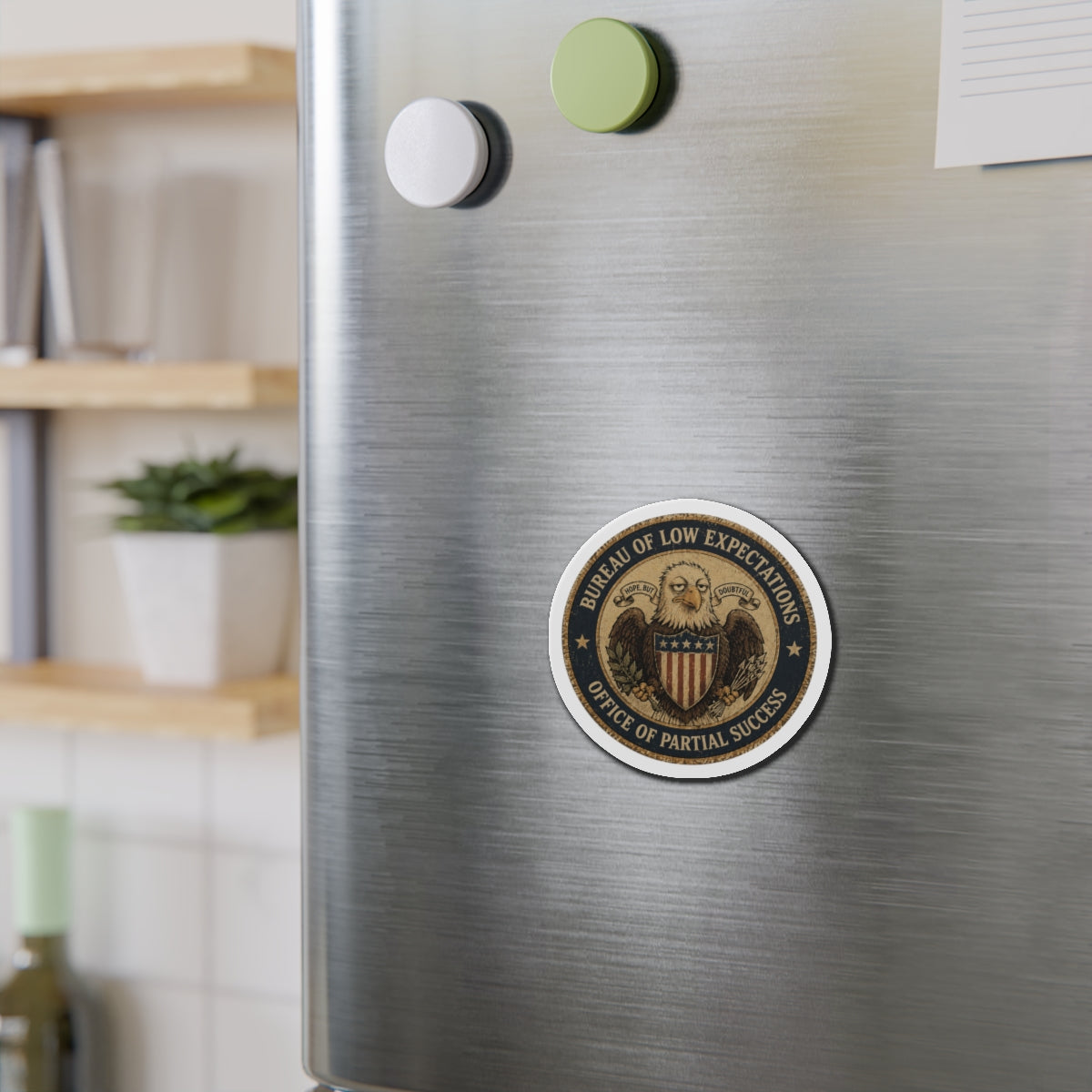 Bureau of Low Expectations Magnet | Office of Partial Success