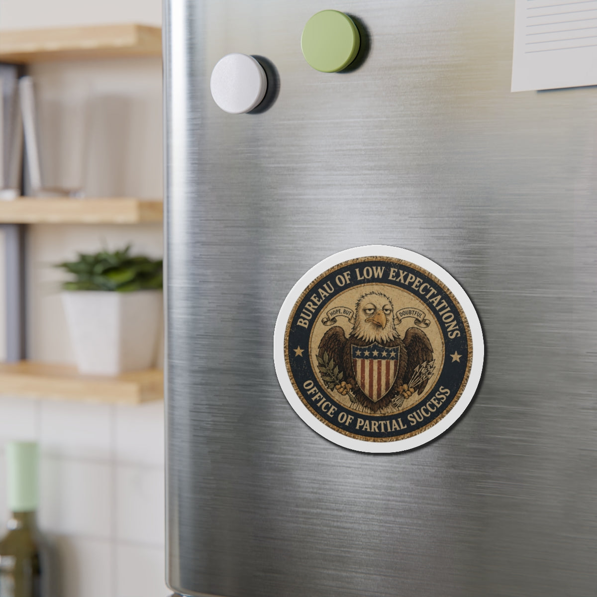 Bureau of Low Expectations Magnet | Office of Partial Success