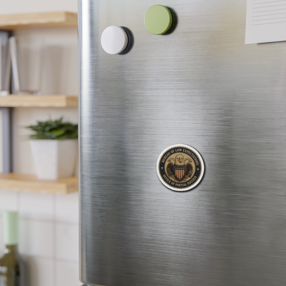 Bureau of Low Expectations Magnet | Office of Partial Success